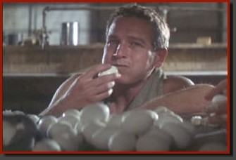 Parmaklıklar Arkasında Fotoğrafı