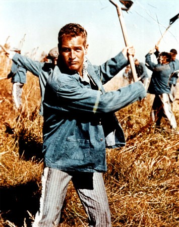 Parmaklıklar Arkasında Fotoğrafı