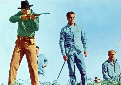 Parmaklıklar Arkasında Fotoğrafı