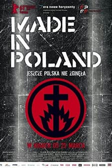 Polonya Yapımı (2010) afişi