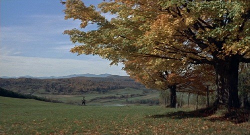 Harry'nin Derdi Fotoğrafı