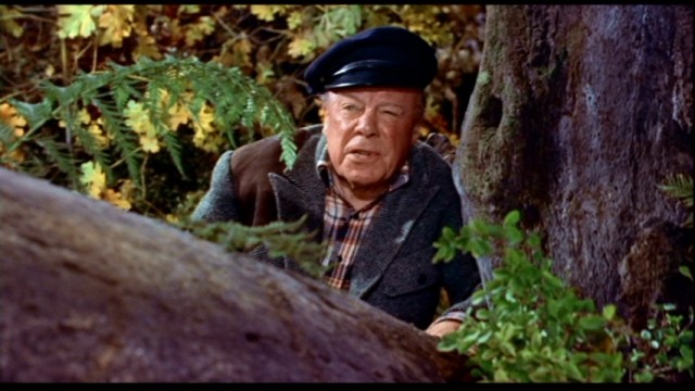 Harry'nin Derdi Fotoğrafı