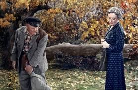 Harry'nin Derdi Fotoğrafı