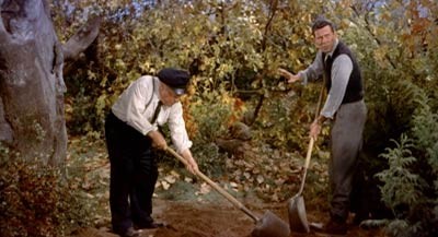 Harry'nin Derdi Fotoğrafı