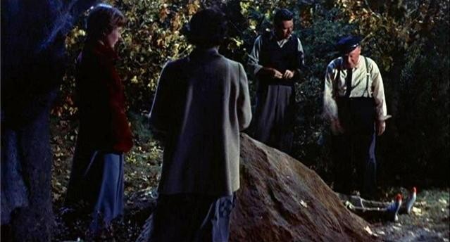 Harry'nin Derdi Fotoğrafı