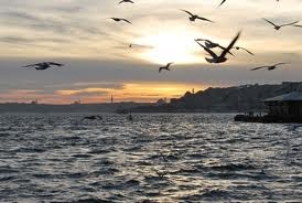 Haliç Altın Boynuz fotoğrafı