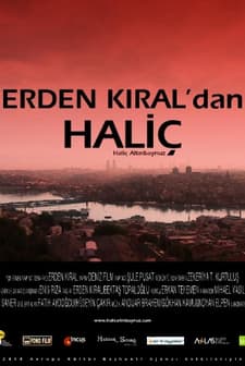Haliç Altın Boynuz (2010) afişi