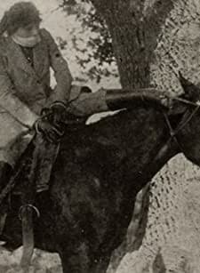 The Capture Of Red Stanley (1916) afişi