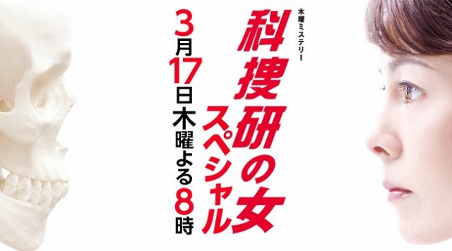 Woman Of The Crime Lab Sp (2011) afişi