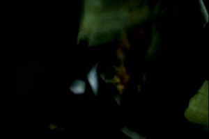 Hae Anseon fotoğrafı