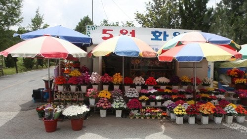 No Name Stars Fotoğrafı