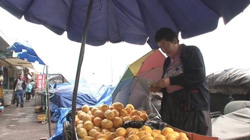 No Name Stars Fotoğrafı