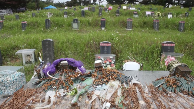 No Name Stars fotoğrafı