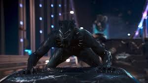Black Panther fotoğrafı