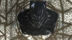 Black Panther fotoğrafı