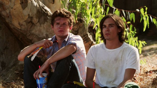 Şeftali Erik Armut Fotoğrafı