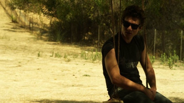 Şeftali Erik Armut fotoğrafı