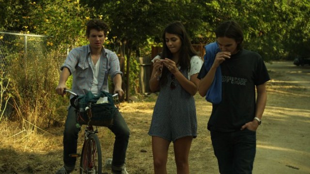 Şeftali Erik Armut fotoğrafı