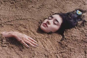 The Birdcage Inn fotoğrafı