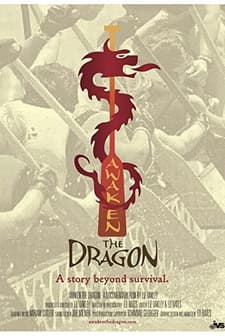 Awaken The Dragon (2011) afişi