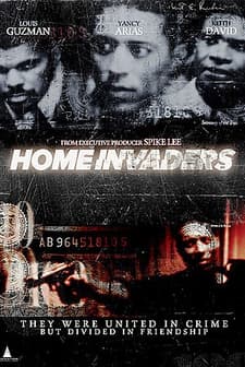 Home Invaders (2001) afişi