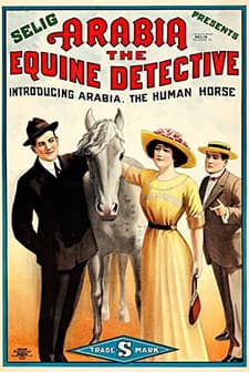 Arabia: The Equine Detective (1913) afişi