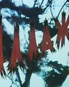 Allazhar (1993) afişi