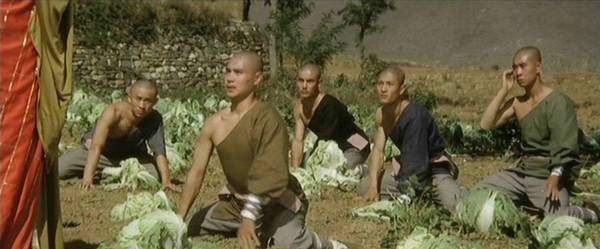 The Shaolin Temple Fotoğrafı
