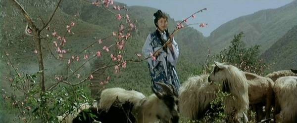 The Shaolin Temple Fotoğrafı