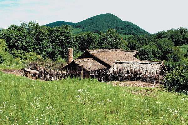 Kochankowie Roku Tygrysa Fotoğrafı