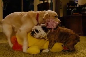 Süper Kumanda Fotoğrafı