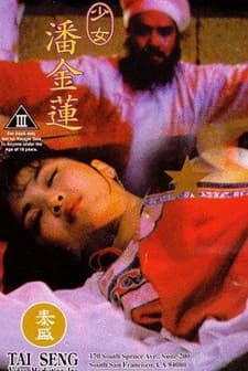 Shao Nu Pan Jin Lian (1994) afişi