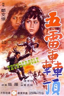 Wu Lei Hong Ding (1973) afişi