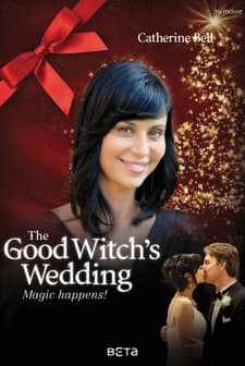 Tatlı Cadının Hediyesi (2008) afişi