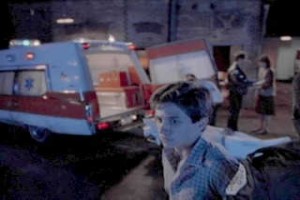 The Fence fotoğrafı