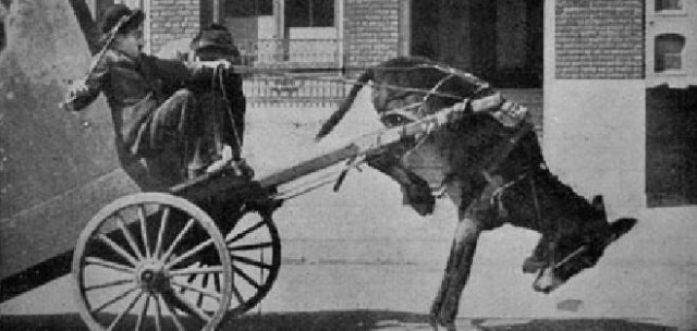 His Musical Career fotoğrafı