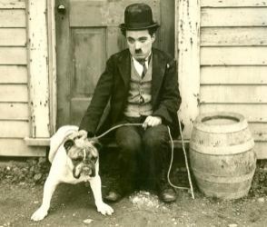 Şampiyon (VI) Fotoğrafı