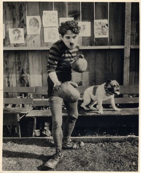 Şampiyon (VI) Fotoğrafı