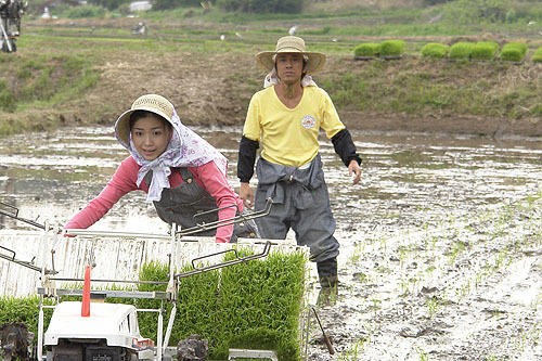 Andante: ıne No Senritsu fotoğrafı