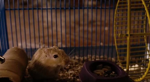 Zathura: Bir Uzay Macerası Fotoğrafı