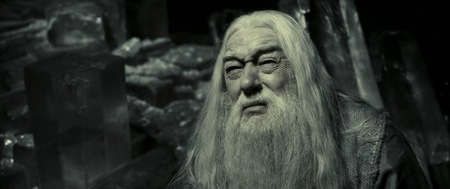 Harry Potter ve Melez Prens Fotoğrafı