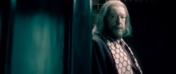 Harry Potter ve Melez Prens Fotoğrafı