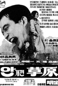 Angaeggin Chowon (1967) afişi