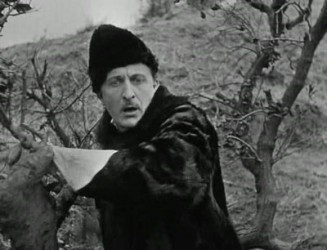 Demir At fotoğrafı