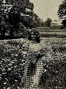 Under The Daisies; Or, As A Tale That ıs Told (1913) afişi