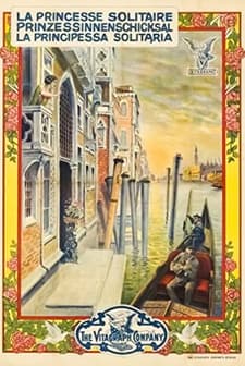 The Lonely Princess (1913) afişi