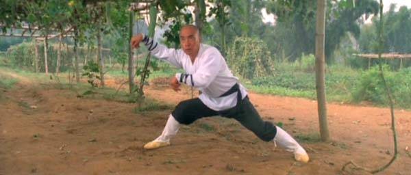 Shaolin Temple 3: Martial Arts Of Shaolin Fotoğrafı