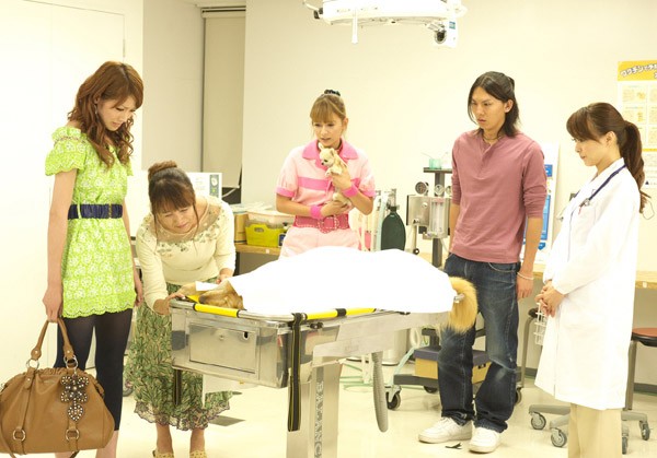 ınubaka Fotoğrafı