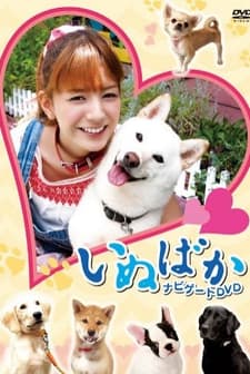 ınubaka (2009) afişi