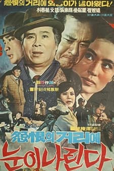 Wolhaui geom (1970) afişi